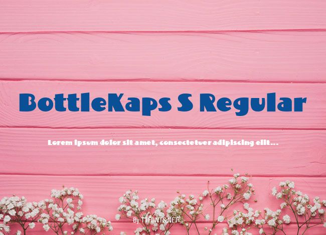 BottleKaps S Regular example
